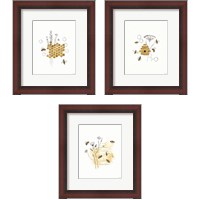 Framed 'Bees and Botanicals 3 Piece Framed Art Print Set' border=