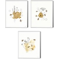 Framed Bees and Botanicals 3 Piece Canvas Print Set