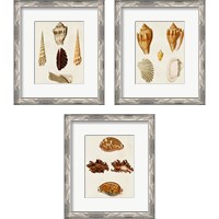 Framed 'Knorr Shells 3 Piece Framed Art Print Set' border=