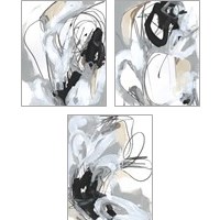 Framed Tangled Threads 3 Piece Art Print Set