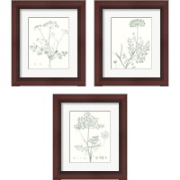 Framed 'Botanical Study in Sage 3 Piece Framed Art Print Set' border=