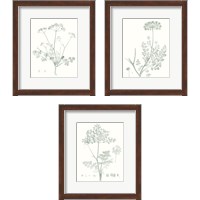 Framed 'Botanical Study in Sage 3 Piece Framed Art Print Set' border=