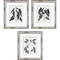 Framed 'Leaving 3 Piece Framed Art Print Set' border=