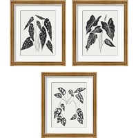 Framed 'Leaving 3 Piece Framed Art Print Set' border=