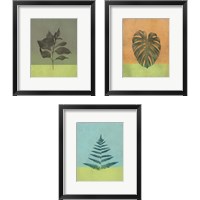 Framed 'Green Botanicals 3 Piece Framed Art Print Set' border=