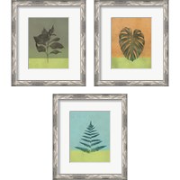 Framed 'Green Botanicals 3 Piece Framed Art Print Set' border=