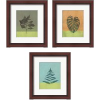 Framed 'Green Botanicals 3 Piece Framed Art Print Set' border=