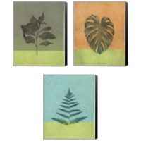 Framed 'Green Botanicals 3 Piece Canvas Print Set' border=