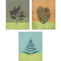 Framed 'Green Botanicals 3 Piece Art Print Set' border=