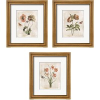 Framed Antiquarian Blooms 3 Piece Framed Art Print Set