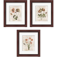 Framed Antiquarian Blooms 3 Piece Framed Art Print Set