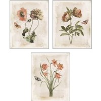 Framed Antiquarian Blooms 3 Piece Art Print Set