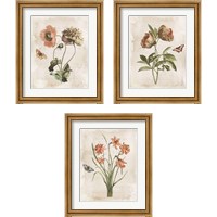 Framed 'Antiquarian Blooms 3 Piece Framed Art Print Set' border=