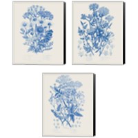 Framed 'Flowering Plants 3 Piece Canvas Print Set' border=