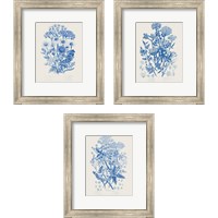 Framed 'Flowering Plants 3 Piece Framed Art Print Set' border=