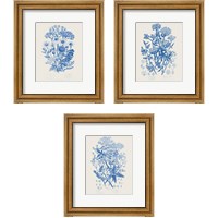 Framed 'Flowering Plants 3 Piece Framed Art Print Set' border=