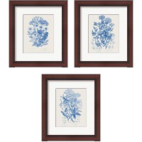 Framed Flowering Plants 3 Piece Framed Art Print Set