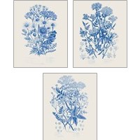 Framed 'Flowering Plants 3 Piece Art Print Set' border=