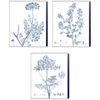 Framed 'Antique Botanical in Blue 3 Piece Canvas Print Set' border=