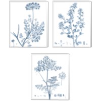 Framed Antique Botanical in Blue 3 Piece Canvas Print Set