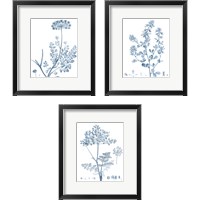 Framed Antique Botanical in Blue 3 Piece Framed Art Print Set