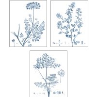 Framed Antique Botanical in Blue 3 Piece Art Print Set