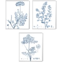 Framed Antique Botanical in Blue 3 Piece Canvas Print Set