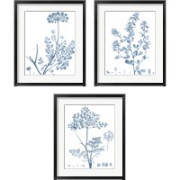 Framed Antique Botanical in Blue 3 Piece Framed Art Print Set