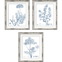 Framed Antique Botanical in Blue 3 Piece Framed Art Print Set