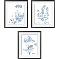 Framed 'Antique Botanical in Blue 3 Piece Framed Art Print Set' border=