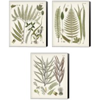 Framed Fanciful Ferns 3 Piece Canvas Print Set
