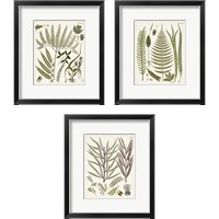 Framed 'Fanciful Ferns 3 Piece Framed Art Print Set' border=