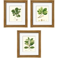 Framed 'Spring Green Foliage 3 Piece Framed Art Print Set' border=