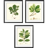 Framed Spring Green Foliage 3 Piece Framed Art Print Set