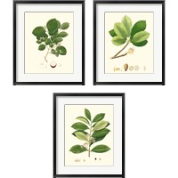 Framed Spring Green Foliage 3 Piece Framed Art Print Set