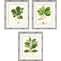 Framed 'Spring Green Foliage 3 Piece Framed Art Print Set' border=