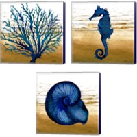 Framed 'Coastal Blue 3 Piece Canvas Print Set' border=