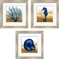 Framed Coastal Blue 3 Piece Framed Art Print Set