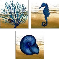 Framed 'Coastal Blue 3 Piece Art Print Set' border=