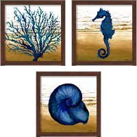 Framed 'Coastal Blue 3 Piece Framed Art Print Set' border=