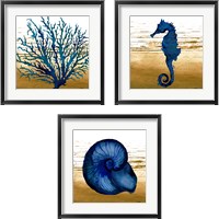 Framed Coastal Blue 3 Piece Framed Art Print Set