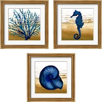 Framed Coastal Blue 3 Piece Framed Art Print Set