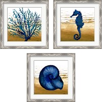 Framed 'Coastal Blue 3 Piece Framed Art Print Set' border=