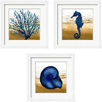 Framed 'Coastal Blue 3 Piece Framed Art Print Set' border=