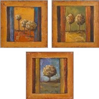 Framed 'Lonely Trees 3 Piece Art Print Set' border=