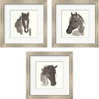 Framed 'Horse Portrait 3 Piece Framed Art Print Set' border=