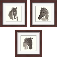 Framed Horse Portrait 3 Piece Framed Art Print Set