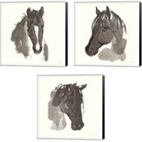 Framed 'Horse Portrait 3 Piece Canvas Print Set' border=
