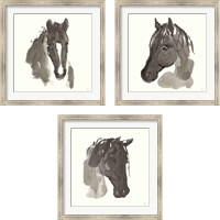 Framed Horse Portrait 3 Piece Framed Art Print Set