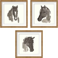 Framed 'Horse Portrait 3 Piece Framed Art Print Set' border=